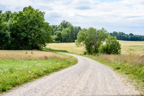 Stone Driveway Repair in Rockford