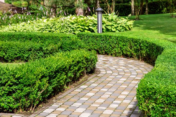 Cost of Paved Landscaping in Rockford