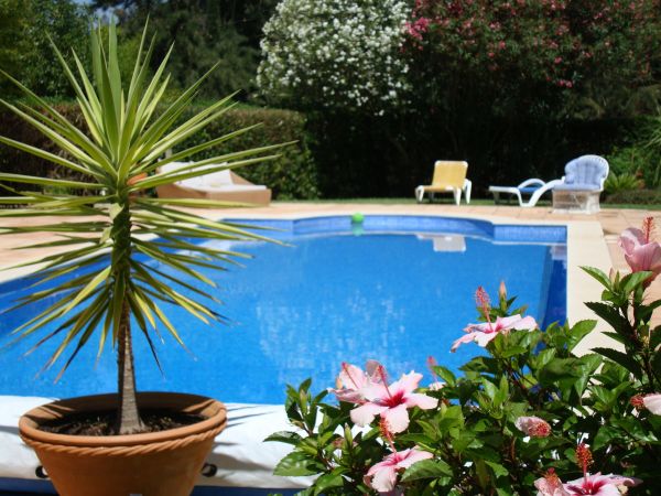 Cost of Pool Terrace Renovation in Rockford