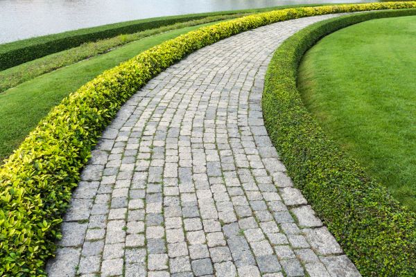 Sidewalk Pavers Installation in Rockford