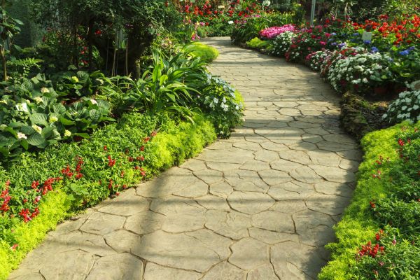 Cost of Stone Pathway Service in Rockford