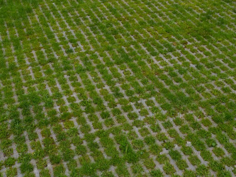 Pavers Installation in Progress